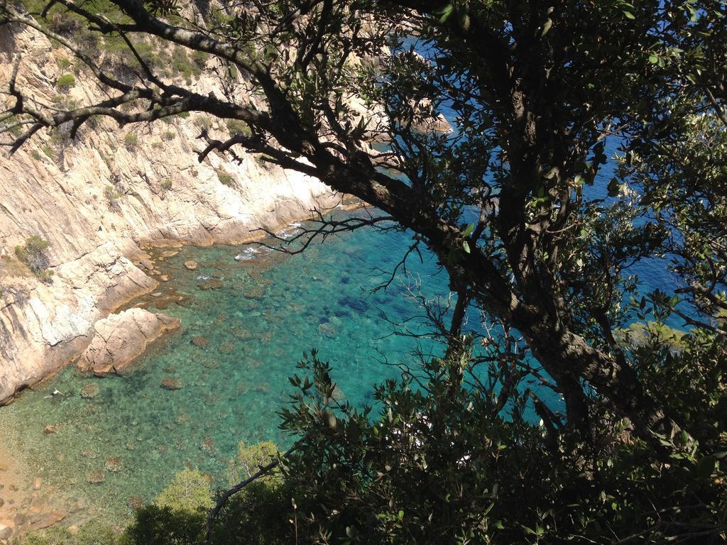 Gran Hotel Reymar 4 Sup Τόσα ντε Μαρ Εξωτερικό φωτογραφία
