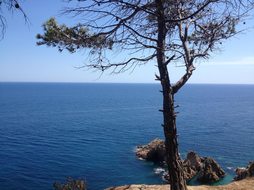 Gran Hotel Reymar 4 Sup Τόσα ντε Μαρ Εξωτερικό φωτογραφία